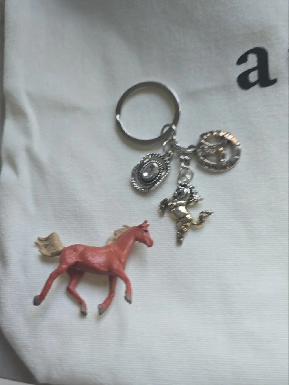 Canvas Tote Bag with 'Young, Wild and Free' W/ Goodies!